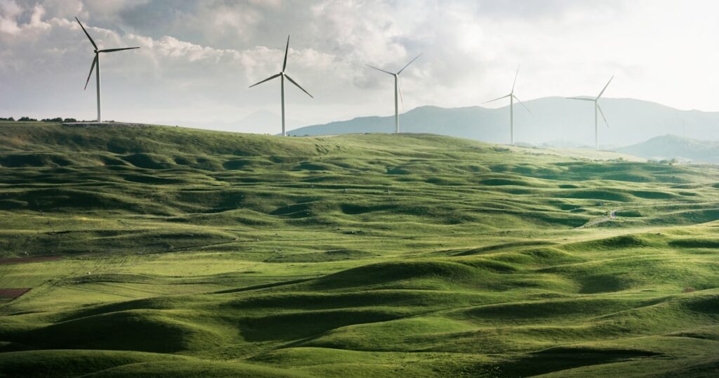 Fiscalité des revenus liés aux parcs éoliens : ce que doivent anticiper les exploitants